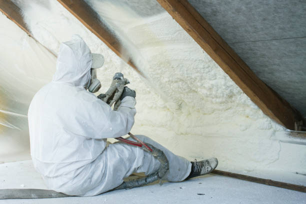 Reliable Bayboro, NC Insulation Services Solutions